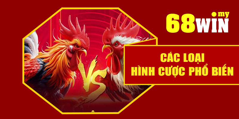Các loại hình cược phổ biến tại đá gà 68Win