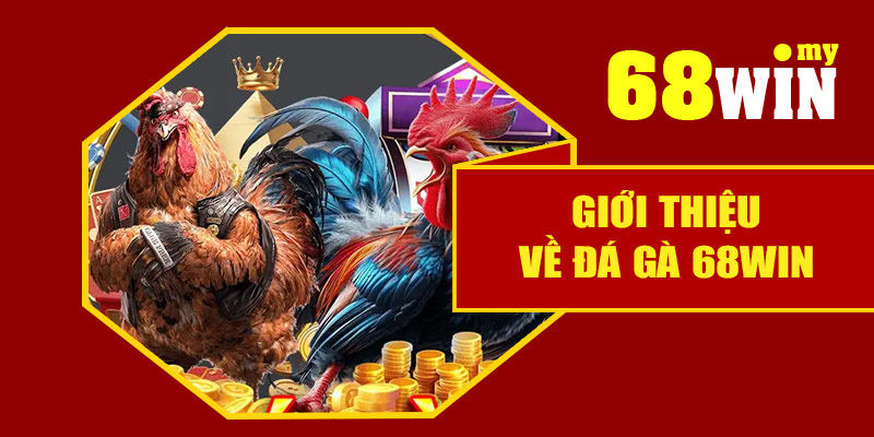 Giới thiệu về đá gà 68Win