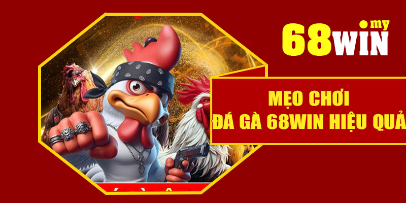 Mẹo chơi đá gà 68Win hiệu quả