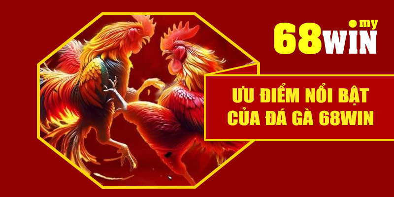Ưu điểm nổi bật của đá gà 68Win